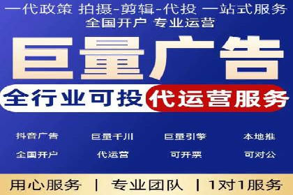 SEM代理助力品牌：案例解析与优化策略